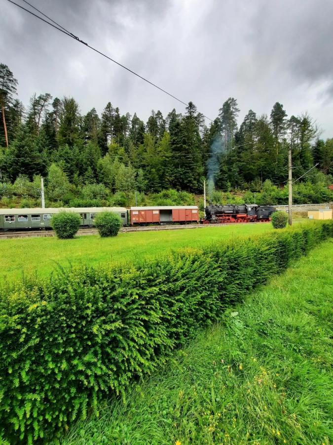 Ferienwohnung Am Wald Bad Herrenalb Exteriör bild