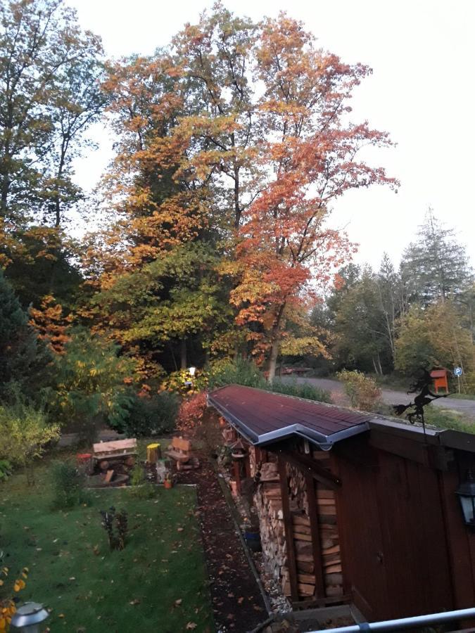 Ferienwohnung Am Wald Bad Herrenalb Exteriör bild